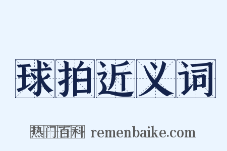 球拍近义词是什么意思的图片